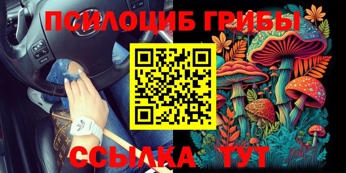 Верхняя Пышма  где купить   Вход с VPN  Галлюциногенные грибы мицелий 