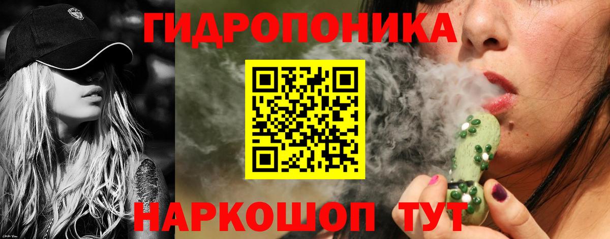 Бошки марихуана сатива  Каннабис гибрид  Верхняя Пышма  Вход с VPN  МАРИХУАНА планчик  Бошки марихуана Amnesia 